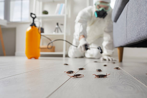 Commercial Kitchen Cockroach Control in King of Prussia